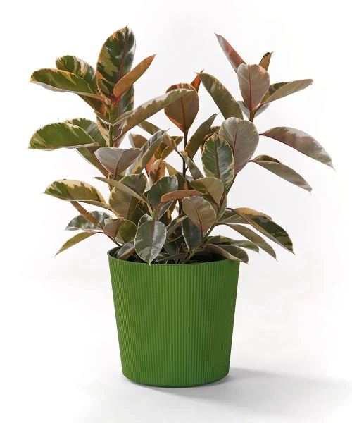 Fyre 40 donica ryflowana brick red na kółkach