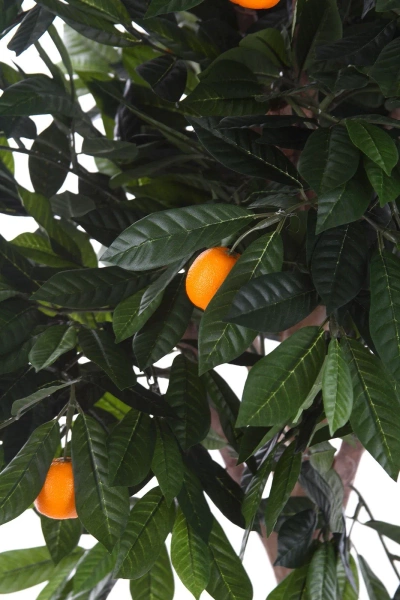 Sztuczna Mandarynka 110 cm drzewko cytrusowe
