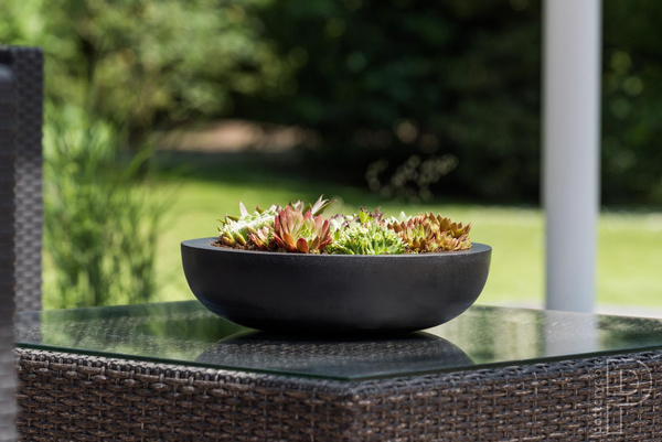 Monique L 43,5/12 misa szara osłonka na bonsai