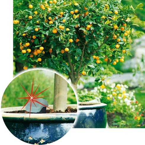 Moistick czujnik wilgotności ziemi 15 cm