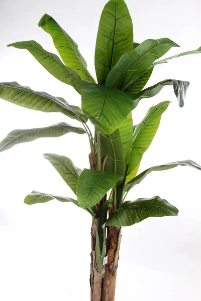 Sztuczny Bananowiec 180-200 cm