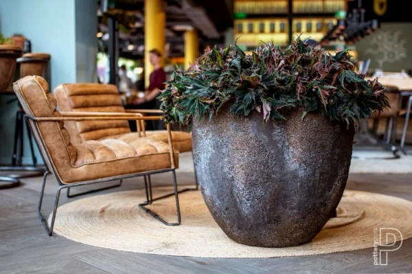 Jesslyn S 50/44 naturalna donica brązowa struktura ostryga oyster