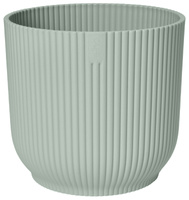 mięta sorbet green