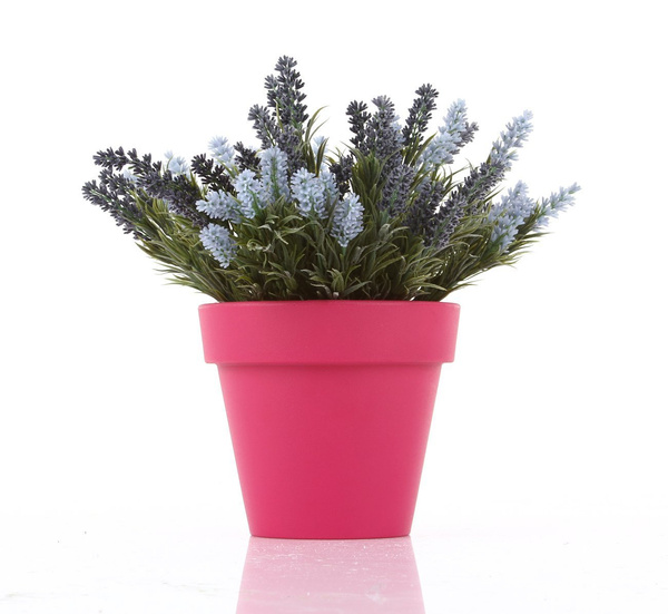 Sztuczna Lawenda 44 cm 14 pędów błękitna