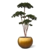 Sztuczny Bonsai Pinia 150 cm deluxe