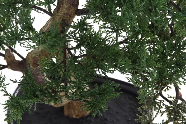 Sztuczny Bonsai Cedr 40x40 cm w doniczce