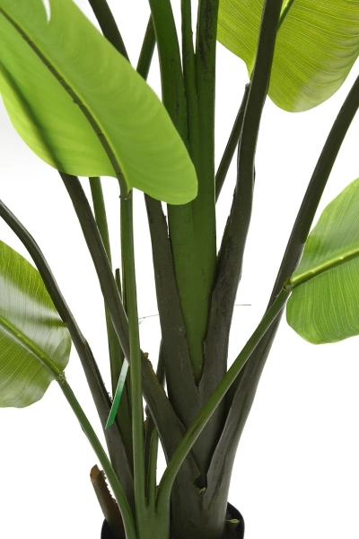 Sztuczna Strelicja nicolai wysoka 180 cm 13 liści