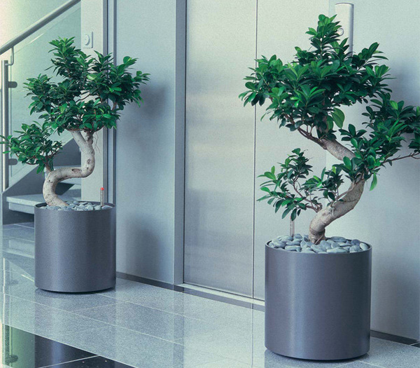 Elegance 60/44 duża donica cylindryczna srebrna metalik