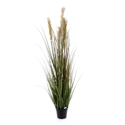 Sztuczna trawa proso 122 cm w doniczce