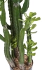 Sztuczny Kaktus Euphorbia Royleana 118 cm