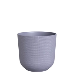 Jazz Elho 14 mała osłonka lawendowa