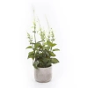 Sztuczna szałwia biała 45 cm w cementowej doniczce