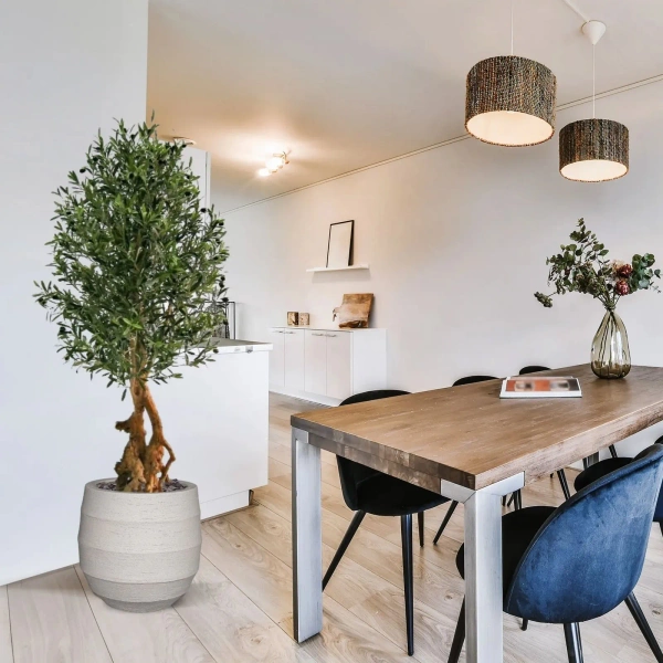 Sztuczna Oliwka Bonsai 150 cm deluxe