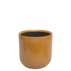 Jupiter 24/24 żółta osłonka gliniana autumn yellow