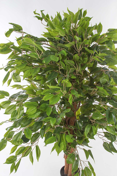 Sztuczne drzewko Fikus Benjamina 120 cm na naturalnym drewnianym pniu