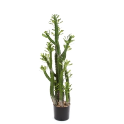Sztuczny Kaktus Euphorbia Royleana 118 cm