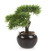 Sztuczne drzewko Bonsai Cedr 25 w czarnej doniczce