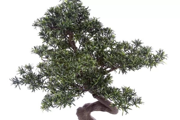 Sztuczny Bonsai Podocarpus 90x60 cm