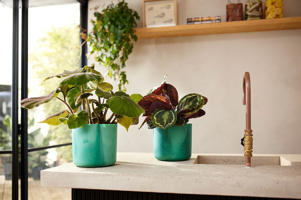 Ocean Round 14 osłonka cylinder zielony pacyfik