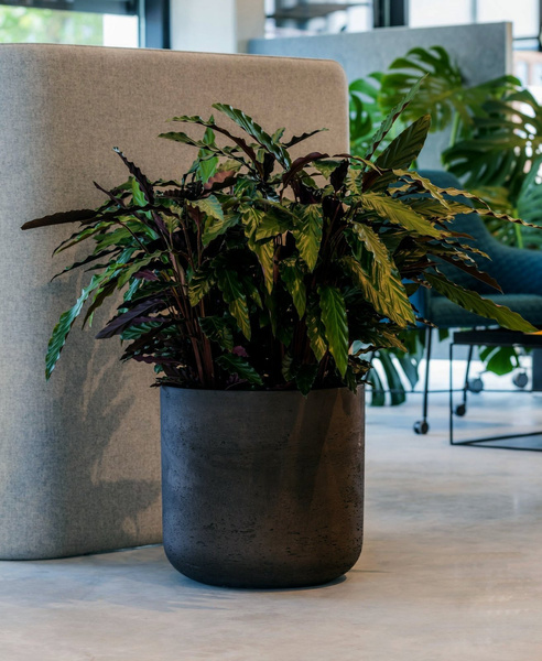 Charlie XL 32/31 czarna donica cylindryczna kamienna