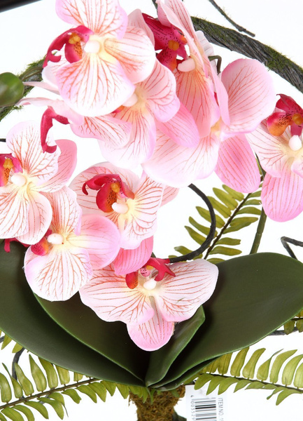 Sztuczny Storczyk Phalaenopsis wiszący 40x35 cm różowy