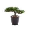 Sztuczny Bonsai Sosna Pinia 18 cm
