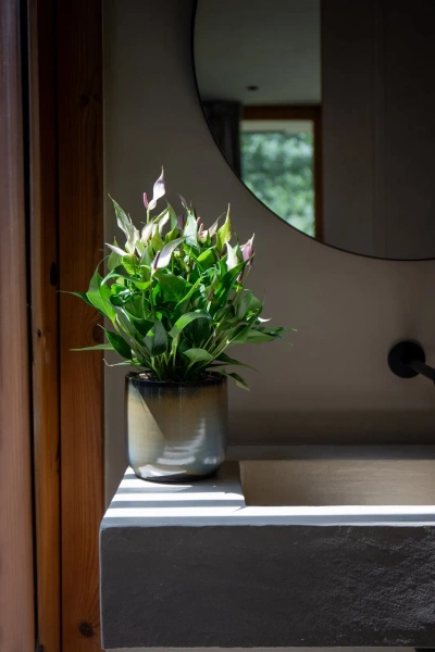 Jupiter 19/19 ceramiczna osłonka morska zieleń sea green