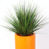 Sztuczna trawa ozdobna Onion 50 cm