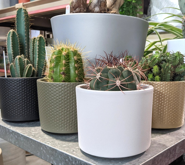 ERA 10/9 doniczka cylinder ceramiczna jasnoszara