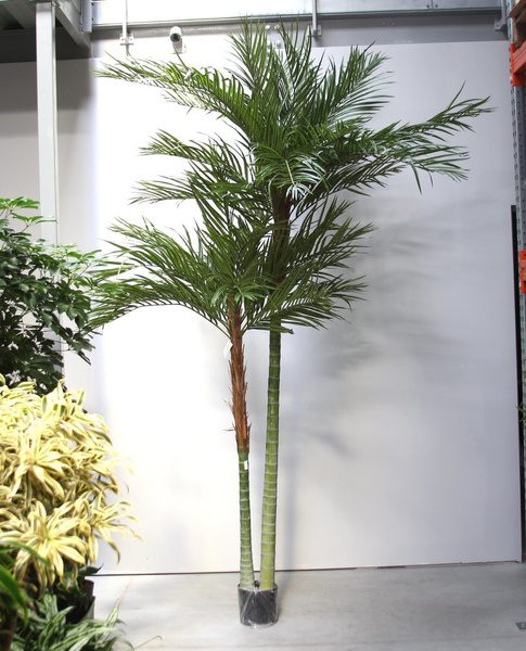 Sztuczna palma Areka 240 cm De Luxe