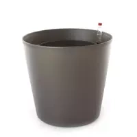 antracyt