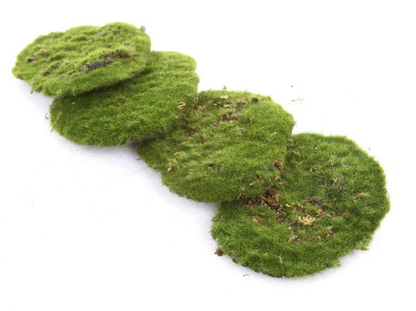 Sztuczny Mech 15 cm czteropak