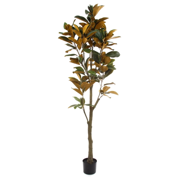 Sztuczna Magnolia Denudata 180 cm