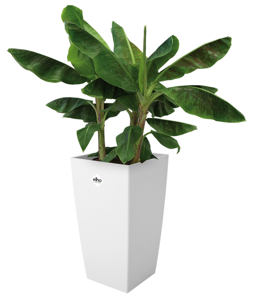 Elho Milano 30x30/55 doniczka kwadratowa wysoka biała