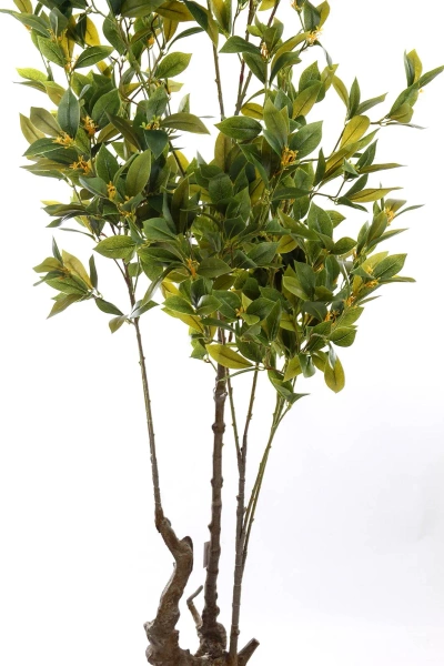 Sztuczne drzewko laurowe Laurus Nobilis 195 cm
