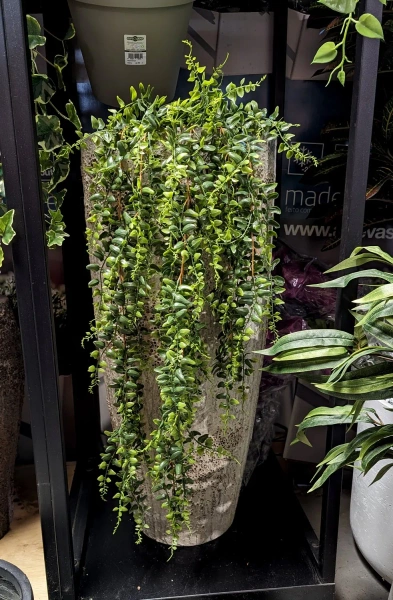 Dax XXL 46/118 bardzo wysoka donica biała imperial white