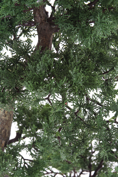 Sztuczny Bonsai Pinia 80x110 cm