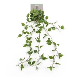 Sztuczny Filodendron pnącze 85 cm