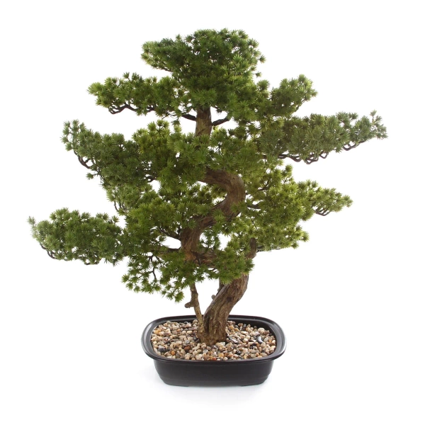 Sztuczny Bonsai Pinia Sosna 68 cm w czarnej doniczce