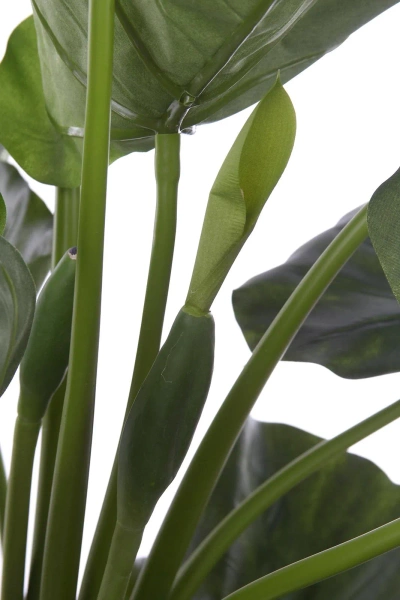 Sztuczna Alokazja Calidora 125 cm deluxe