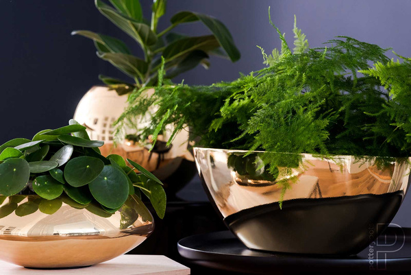 Puk S 15/15 cylindryczna doniczka złota platinum gold