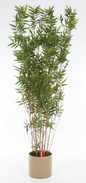 ERA 19/17 wytłaczana osłonka cylinder ciemnoszara