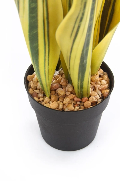 Sztuczna Sansewieria 30 cm żółto-zielona