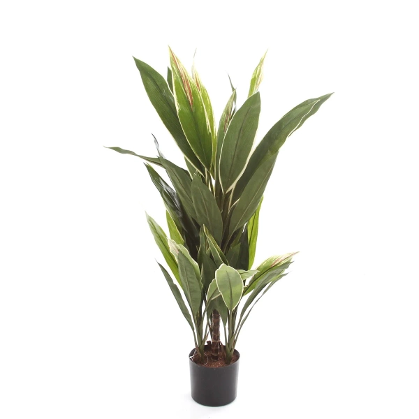 Sztuczna Dracena variegata 80 cm
