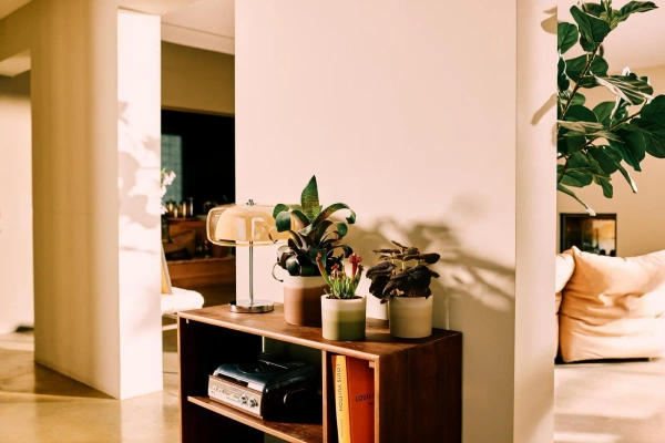 Colour Gradient Elho 18 osłonka kolorowa w odcieniach beżu