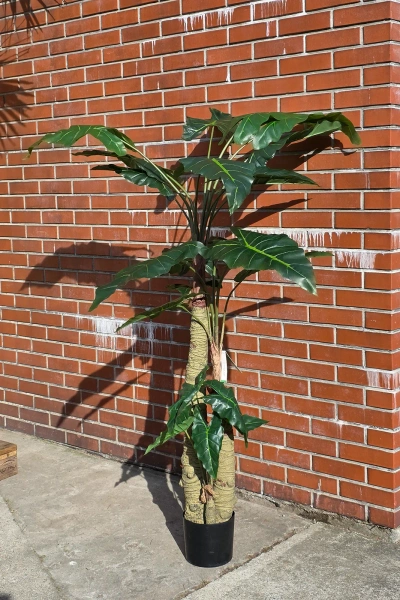 Sztuczna Alokazja drzewko 180 cm 22 liście gruby pień