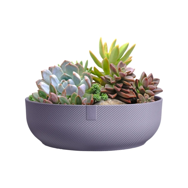 Jazz Bowl 28 misa lawendowa lavender lilac