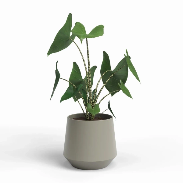 Aurora 17/16 osłonka ceramiczna zwężana taupe