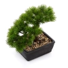 Sztuczny Bonsai Modrzew 23x25 cm w doniczce