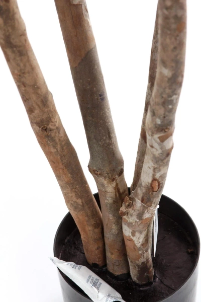 Sztuczny Bonsai Pinia 150 cm deluxe